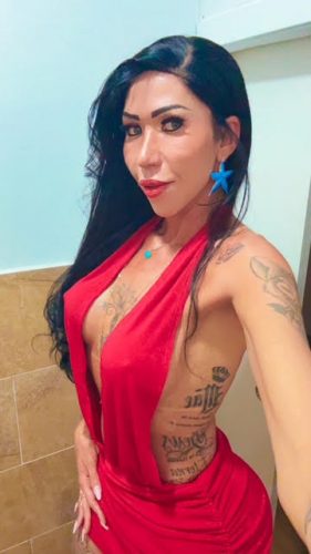 anitav4 (3)